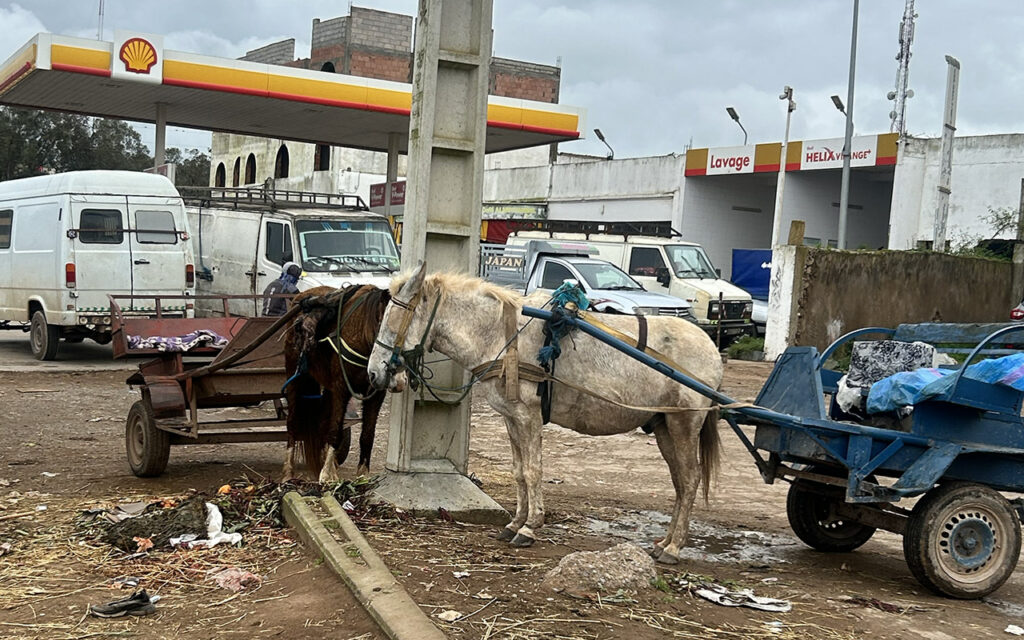 Shell fuel and donkeys Morocco.