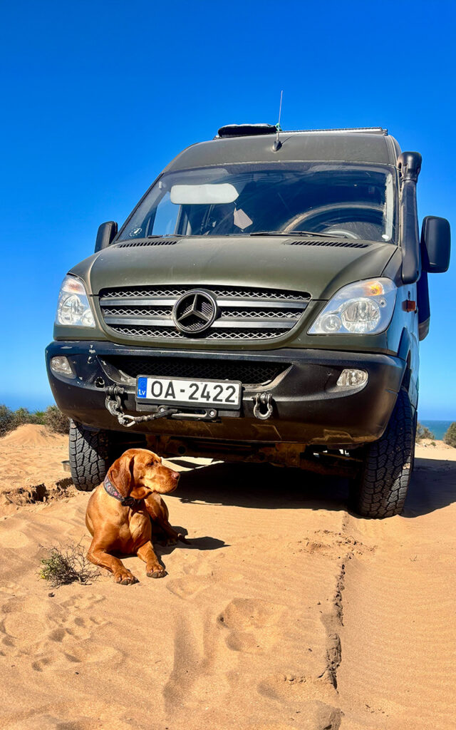 A Vizsla dog resting in the shade of a 4x4 Mercedes Sprinter camper van on a sandy Moroccan beach