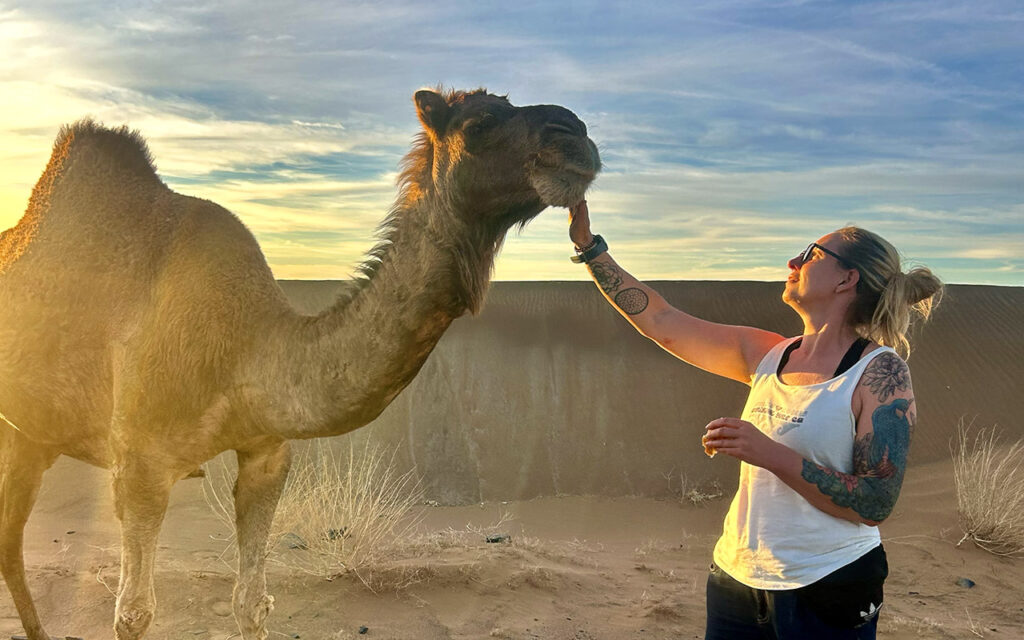 Friens with camel, Morocco