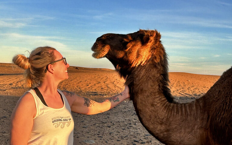 Sahara desert friendship with camel