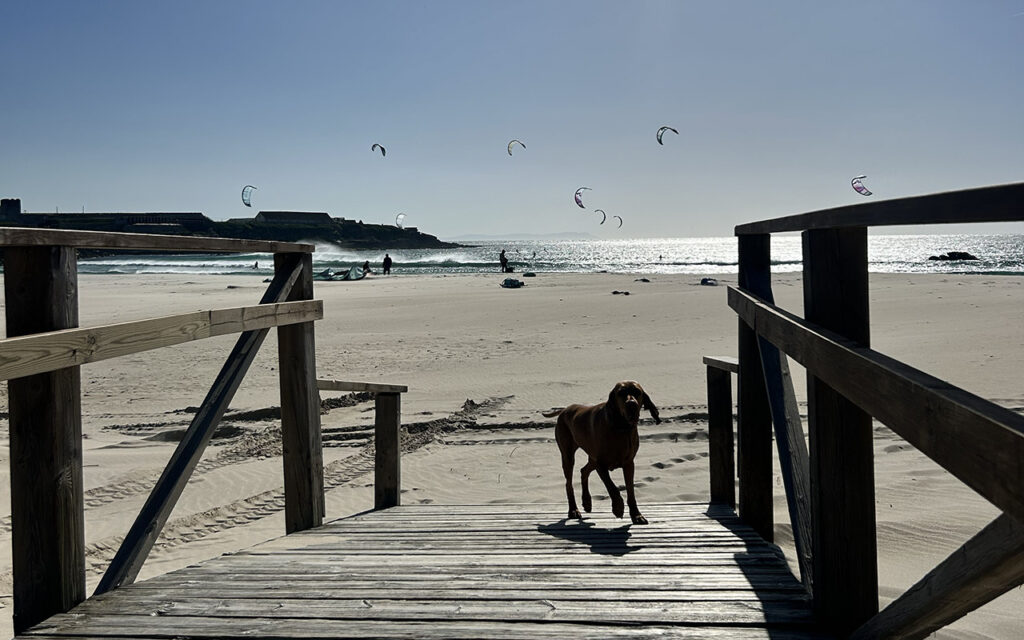 Tarifa kiteboarding beach